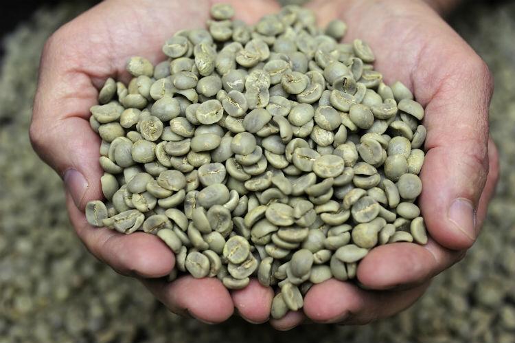 Sano Coffee Bottom